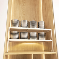 Organisateur de vêtements télescopique réglable en acier au carbone, gain de place, pour placard de salon moderne, sans perçage, extensible