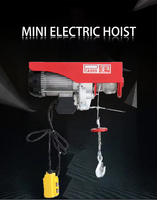 Mini-treuil électrique de gros, petite grue de levage domestique pour toiture, 220V, compact, télécommandé sans fil