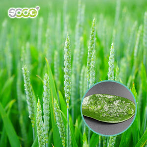 Agente de Retención de Agua Resistente a la Sequía para la Agricultura, Poliacrilato SAP en Polvo, Malla 10-100, Polímero Súper Absorbente - Product Image 2