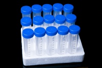 Support conique jetable pour laboratoire, tubes de falcon unisexes, 15ml/50ml, avec remise de diplôme transparent, 10 pièces