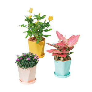 Pot de fleurs au design nordique simple, en plastique épais, pour jardinage domestique, durable, résistant à la corrosion, pour plantes d'intérieur et d'extérieur - Product Image 5