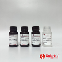 Kit de Tinción de Lipofusina de Alta Calidad Solarbio (Método Long Ziehl-Neelsen) para Investigación Científica