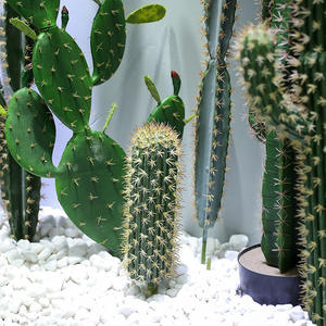 ต้นกระบองเพชรปลอม ต้นไม้ประดิษฐ์สีเขียว สำหรับตกแต่งบ้านและโรงแรม - Product Image 3