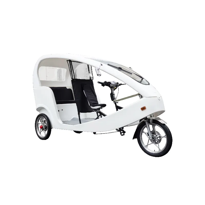 CE 인증 3 여객 전기 세발 자전거 1000w 모터 Pedicab화물 Motrike 바디 오픈 투어링 Velo 택시 자전거
