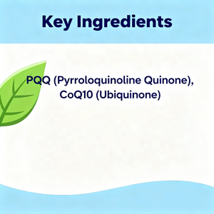 En çok satan <span class=keywords><strong>PQQ</strong></span> & CoQ10 kapsül Pyrroloquinoline Quione kalp sağlığı ve beyin fonksiyonu desteği için ek - Product Image 2