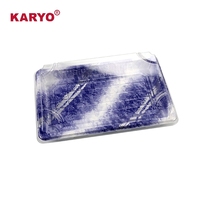 KARYO 1107 Boîte à sushi japonaise en plastique jetable, récipient en plastique rectangulaire avec couvercle transparent pour emballage à emporter