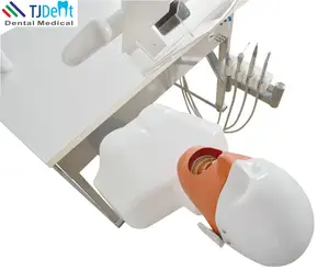 दंत चिकित्सा छात्र दंत चिकित्सा सिर सिम्युलेटर दंत चिकित्सा प्रेत सिर के लिए प्रेत सिर