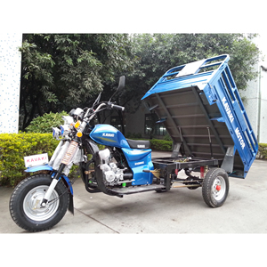 Triciclo de Clase Titan con Motor de 3000W y Velocidad de 80km/h para Transporte Pesado - Product Image 5