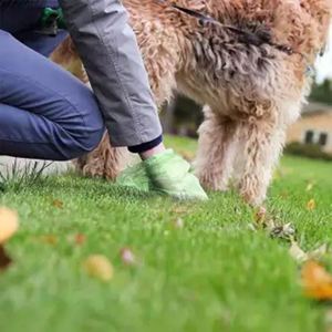 Offre Spéciale : Sacs à Déchets Biodégradables Personnalisés de Haute Qualité, Écologiques, avec Logo Imprimé, pour Déjections Canines – Accessoire en PET en Gros - Product Image 2