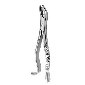 Forceps d'extraction dentaire en acier inoxydable à motif anglais, instruments chirurgicaux dentaires professionnels, fournisseur en gros - Product Image 1