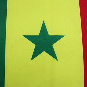 Drapeau du Sénégal 3x5 pieds en aluminium, impression numérique, double couture, pour campagnes électorales, événements et célébrations, vente en gros - Product Image 4