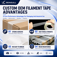 Ruban de cerclage monofilament renforcé sur mesure pour la fixation des palettes et l'emballage industriel