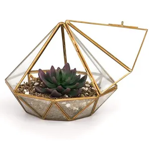 Atacado porta de casa vasos-Amazon Best Seller Tabletop Succulent Vase Black Gold Glass Plant Box Diamond Shaped Geometric Terrarium with Door