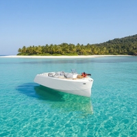 Système de télécommande pour bateau électrique autonome de 6,6 m, idéal pour la pêche sportive et les études hydrographiques, certifié CE, soudé, directement de l'usine