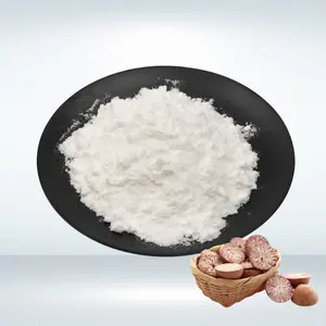 Nhà Máy chiết xuất 10:1 cau catechu trầu Nut chiết xuất arecoline hydrobromide bột