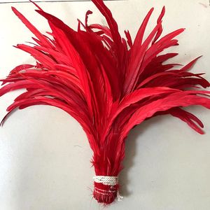 ขายส่ง 40-45 ซม.ย้อมหางไก่ขนไก่ขนไก่สําหรับชุดงานรื่นเริง - Product Image 5