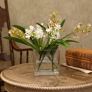 Groothandel transparante vierkante bloem vaas-Vierkante Transparante Vaas Decoratie Eenvoudige Woonkamer Bloemstuk Glazen Vaas