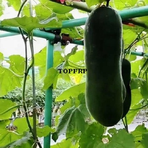 Durable Fiberglass Tubes Support Poles Used for Shade <b>Net</b> Passion Fruit Wax Gourd Planting - Product Image 6