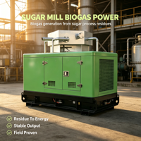 Groupe électrogène diesel de secours 140 kW avec 8 heures d'autonomie pour hôtel, sortie 380 V