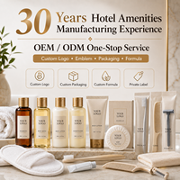 Kit de Amenidades Desechables para Habitaciones de Hotel con Logotipo Personalizado Impreso Individualmente, Incluye Set Dental, Gorro de Ducha y Peine para Resorts