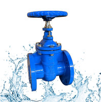 Vanne à opercule en fonte ductile OS&Y à tige montante avec siège métallique DN80-400 Classe 150 à bride API 600 Manuelle Industrielle Eau OEM