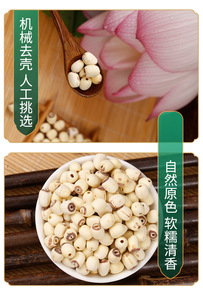 Cung cấp trực tiếp Lõi Rỗng tươi mà không cần vỏ hạt sen trắng ăn được số lượng lớn hoa sen từ nguồn gốc Trung Quốc - Product Image 5