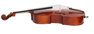 Haute qualité couleur brillante En Bois Massif violoncelle instruments pour les étudiants - Product Image 4