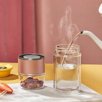 Bouteille Isotherme Transparente à Double Paroi en Verre avec Infuseur à Thé 500ml Portable Résistante à la Chaleur Anti-Fuite avec Bouchon à Vis pour l'Extérieur