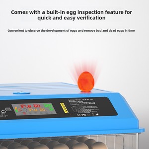 Fully Automatic Small Mini Rectangle Egg <strong>Incubator</strong> Hatching Box Cross-border Constant Temperature Chicken Duck Goose Quail - Product Image 4