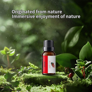 Huiles parfumées à <span class=keywords><strong>la</strong></span> <span class=keywords><strong>citronnelle</strong></span> bio 10Ml pour diffuseurs à ultrasons <span class=keywords><strong>Citronnelle</strong></span> Plug In Room Freshener Aroma Diffuser Essential Oil - Product Image 2