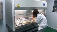 Cabine de sécurité biologique de classe 2 type A2/B2 en acier inoxydable résistante aux produits chimiques pour hôpitaux et écoles (vente en gros)