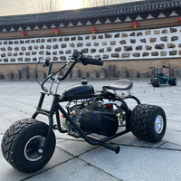Mini moto de course personnalisée à pédales, 212cc, 8,5 ch, 4 temps, à essence, transmission par chaîne, pneus de course de 5 pouces, 60 km/h, karts tout-terrain