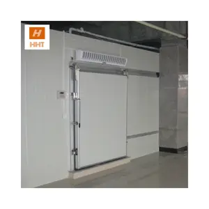 Frozen Fish Cold Storage Room Walk-in Freezer Cold Room For Ice Plant Chambre Froide De Morgue