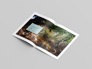 Catálogo personalizado Perfect Bound Books Offset Paper Matt Paper Fotografía, Portafolio, Obra de arte - Product Image 6