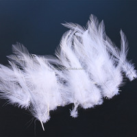 Costumes de carnaval accessoire de chapellerie 4-6in blanchi blanc naturel coq Hackle plumes enfilées