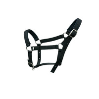 Licol pour cheval en nylon souple et résistant, réglable, avec coussin en mousse