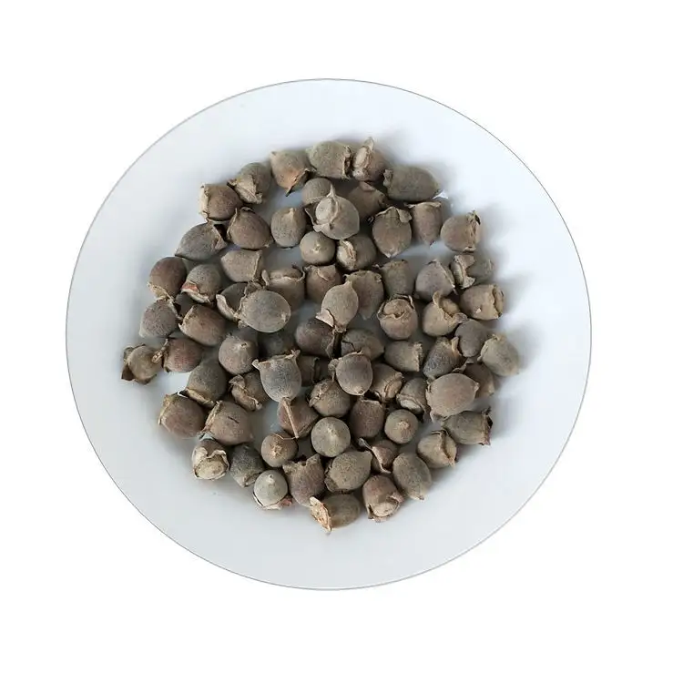 High quality Natural Wild dried type Rhodomyrtus tomentosa fruits for sale