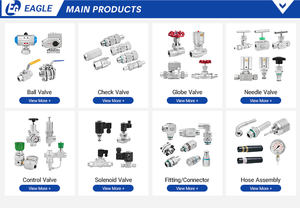Edelstahl-Kohlenstoffstahl-Rückschlagventil Einweg-Schweißkartenhülse Britisches G-Außengewinde Gas Hochvakuum 350bar Manuell - Product Image 6