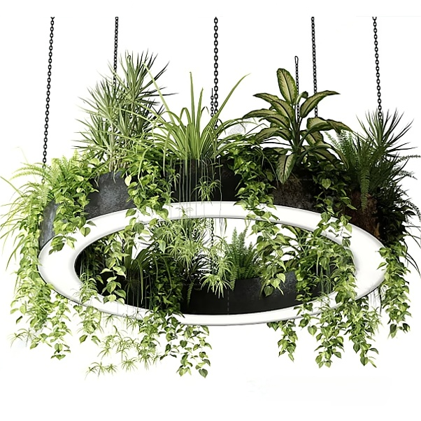 Plantes suspendues lumineuses