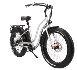 高品质女士男士城市Pedelec电动自行车自行车电动脂肪轮胎Ebike