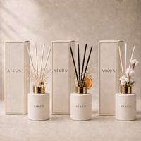 AIKUN, équipe de designers propres, étiquette privée personnalisée, emballage personnalisé, écologique, vente en gros, ensemble de diffuseurs de parfum pour la maison