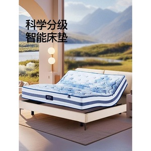 Dream God Smart Mattress S300 Medium Firm <b>Memory</b> <b>Foam</b> Electric Mattress Double Size 1500x2000mm 1800x2000mm - Product Image 1