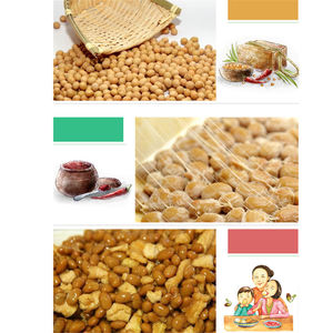 3g/Sacchetto Bacillus Subtilis Natto Nattokinase per Fermentazione Fai-da-te di Natto, Polvere di Spore Enzimatiche per Avvio Fermentazione - Product Image 5