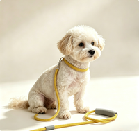 Laisse pour animaux de compagnie durable pour chiens de petite, moyenne et grande taille, haute qualité, en stock, nouvelle laisse pour chien, laisse de promenade épaissie pour chien