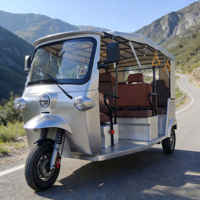 Tricycle standard L5e entièrement équipé pour la montée en pente avec contrôleur haute puissance et haute efficacité, homologué pour la route