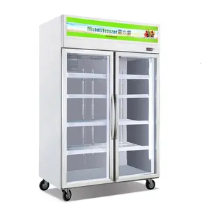 Réfrigérateur vitrine commercial à 2 portes glacière vitrine en acier inoxydable sur mesure