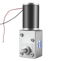 Moteur à Engrenages CC XYT 200KG Charge 5882-50ZY 12V/24V à Vis sans Fin à Turbine Couple Élevé Basse Vitesse Construction à Aimant Permanent 5882 50ZY