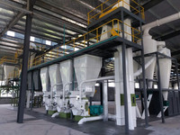Granulateur à matrice annulaire YONGLI 15k-160kW pour la fabrication de granulés de biomasse à partir de sciure de bois, certifié CE