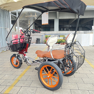 Triciclo de 3 Ruedas con Llantas Anchas para Pasajeros, Triciclo para Adultos, Triciclo Eléctrico de Largo Alcance - Product Image 3