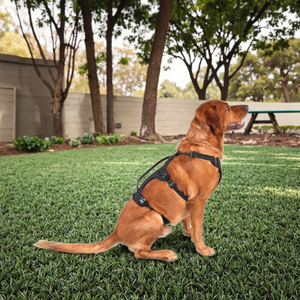 Toptan küçük ve XL anti-delme köpek koşum renkli Polyester dokuma askı ile Pet aksesuarları kaynağı tarafından karbon Fiber malzeme - Product Image 5